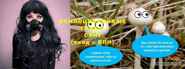 мяу мяу мука Алзамай